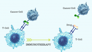 Immunotherapy Found Most Effective in Men